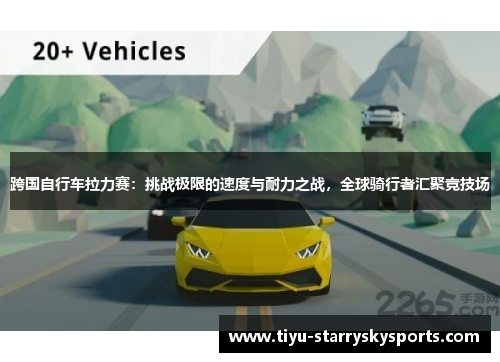 跨国自行车拉力赛：挑战极限的速度与耐力之战，全球骑行者汇聚竞技场