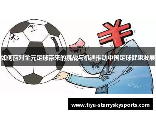 如何应对金元足球带来的挑战与机遇推动中国足球健康发展
