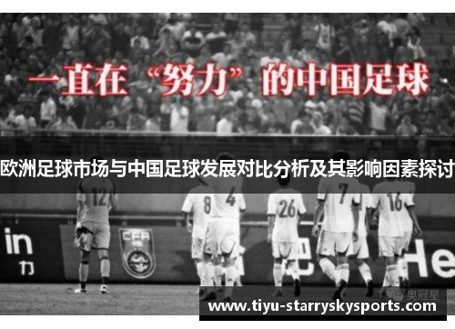 欧洲足球市场与中国足球发展对比分析及其影响因素探讨