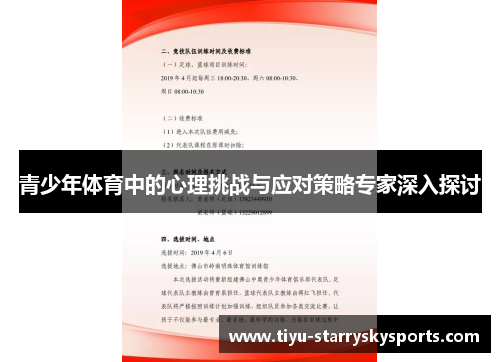 青少年体育中的心理挑战与应对策略专家深入探讨