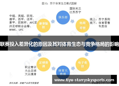联赛投入差异化的原因及其对体育生态与竞争格局的影响
