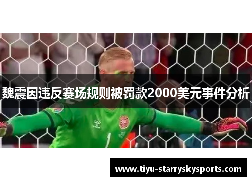魏震因违反赛场规则被罚款2000美元事件分析