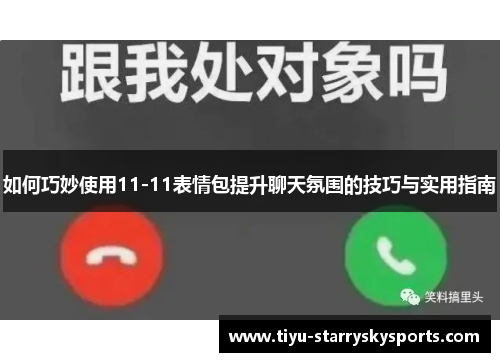 如何巧妙使用11-11表情包提升聊天氛围的技巧与实用指南
