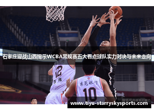 石家庄迎战山西揭示WCBA常规赛五大看点球队实力对决与未来走向