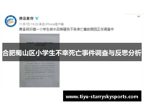 合肥蜀山区小学生不幸死亡事件调查与反思分析